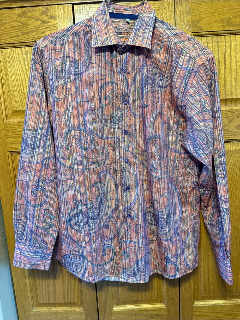 Men's Long-Sleeve Paisley Button-Down Shirt - Rust, Blue, & Purple- Large